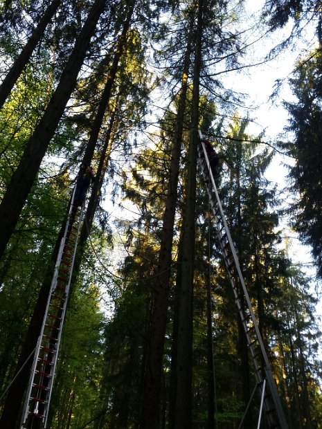 Maibaum_2016 (1)